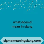 what does dl mean in slang