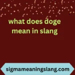 what does doge mean in slang