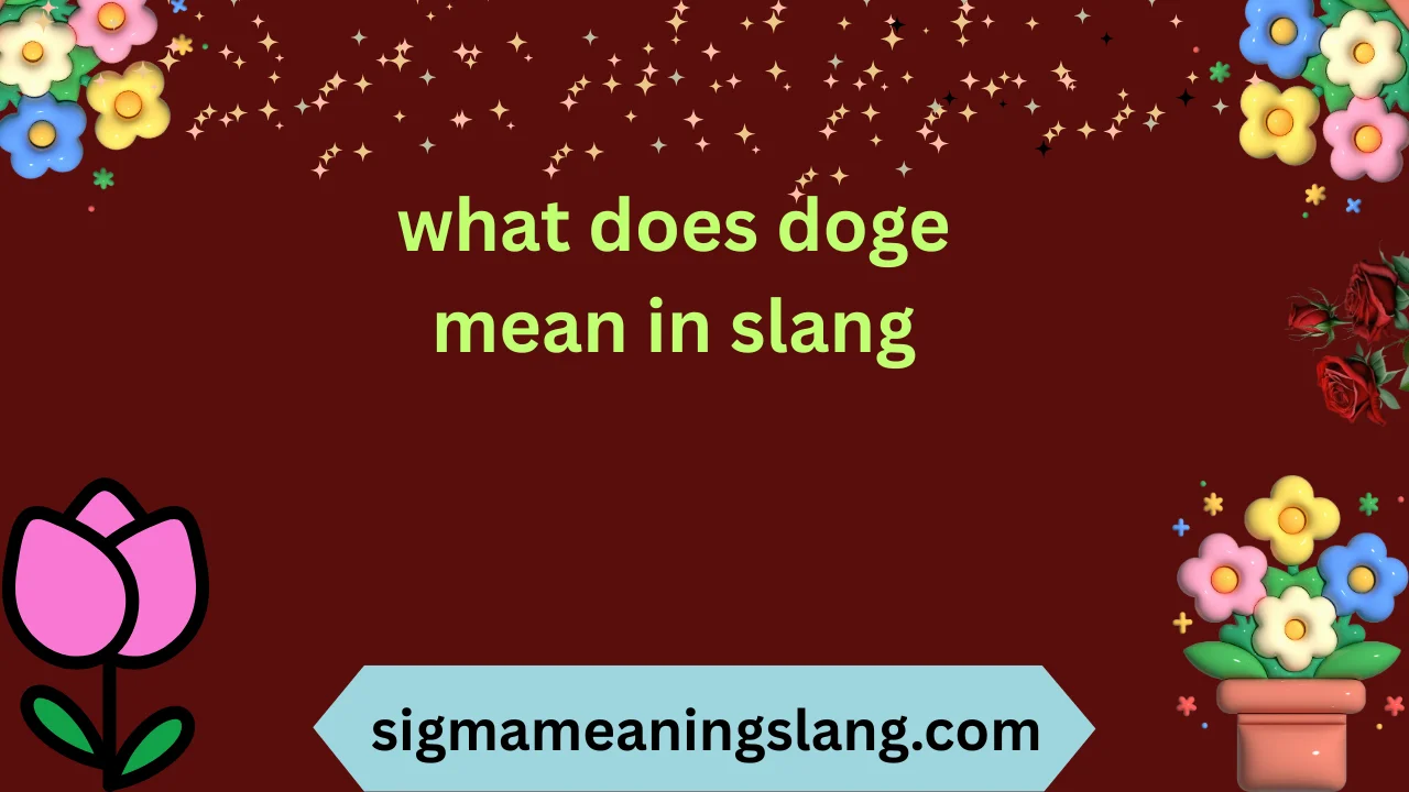 what does doge mean in slang