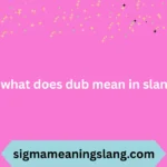 what does dub mean in slang