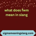 what does fwm mean in slang