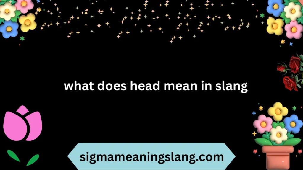 what does head mean in slang