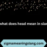what does head mean in slang