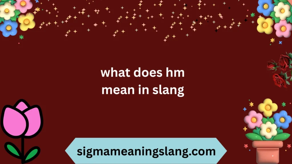 what does hm mean in slang