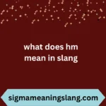 what does hm mean in slang