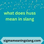 what does huss mean in slang