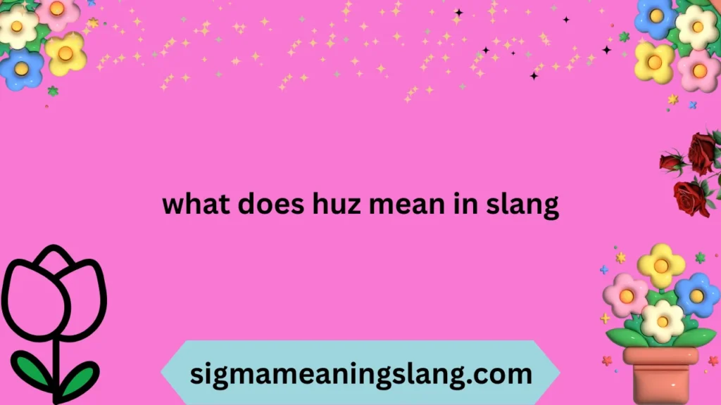 what does huz mean in slang