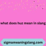what does huz mean in slang