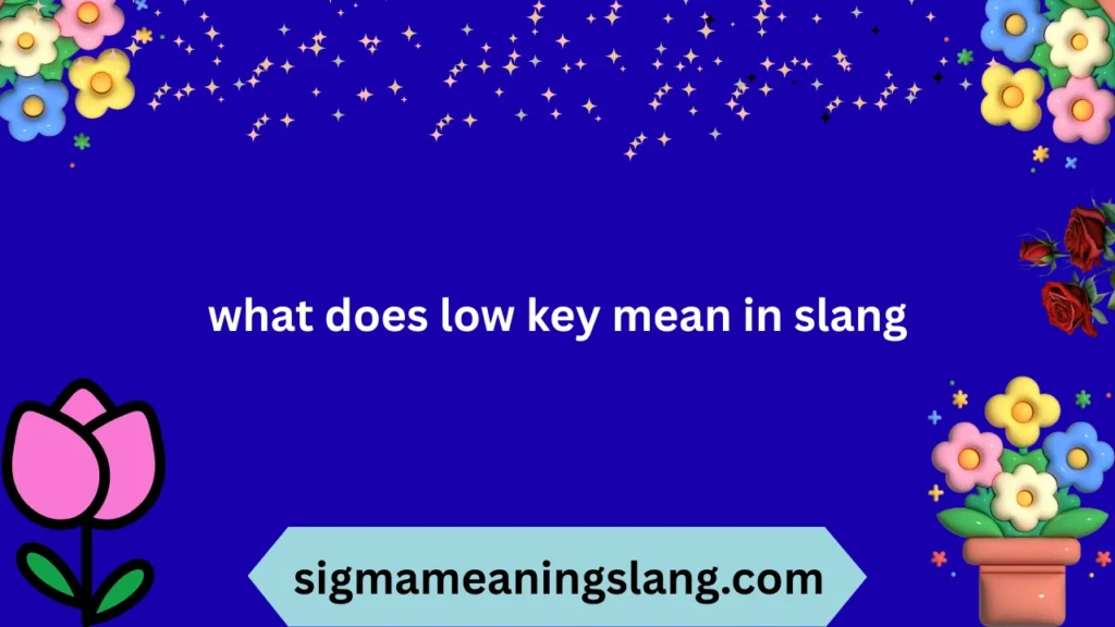 what does low key mean in slang