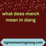 what does merch mean in slang