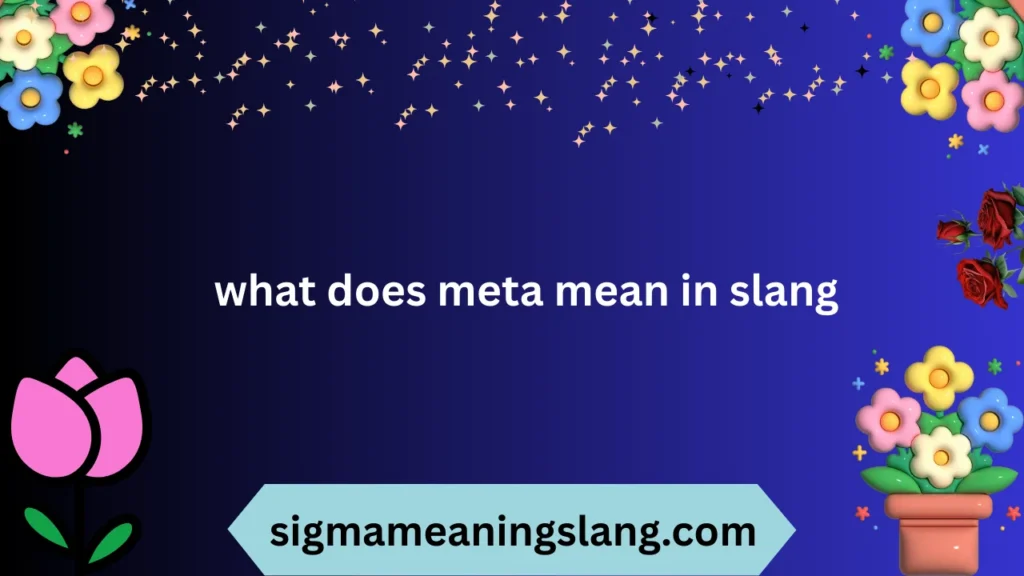 what does meta mean in slang