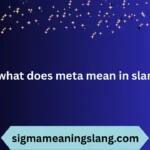 what does meta mean in slang