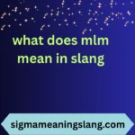 what does mlm mean in slang
