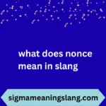 what does nonce mean in slang