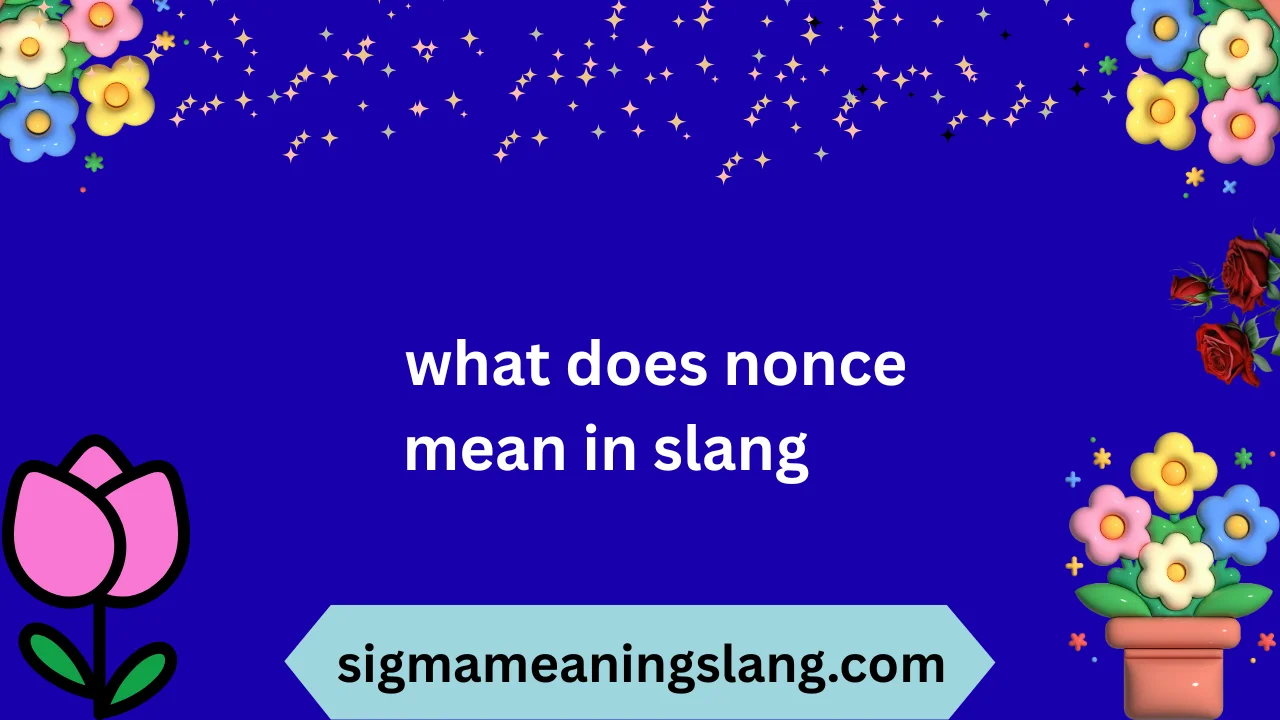 what does nonce mean in slang