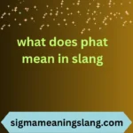 what does phat mean in slang