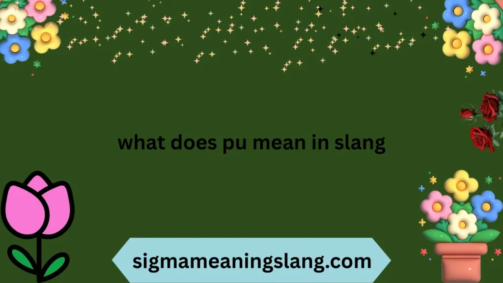 what does pu mean in slang