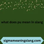 what does pu mean in slang