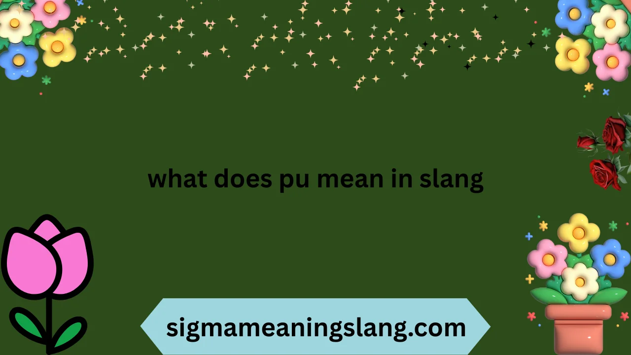 what does pu mean in slang