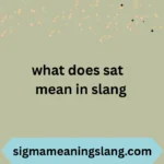 what does sat mean in slang