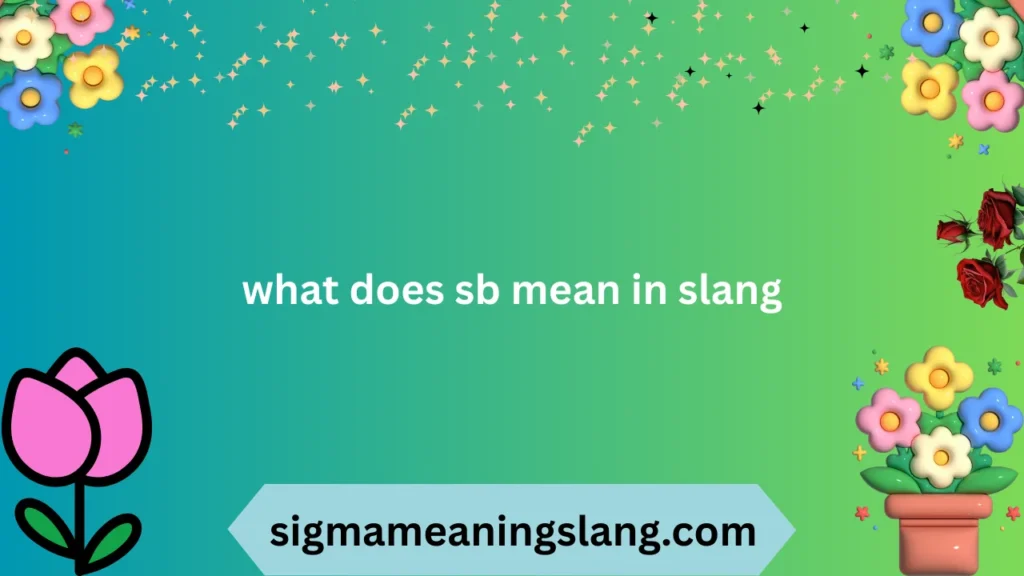 what does sb mean in slang