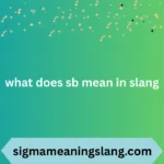 what does sb mean in slang