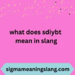what does sdiybt mean in slang