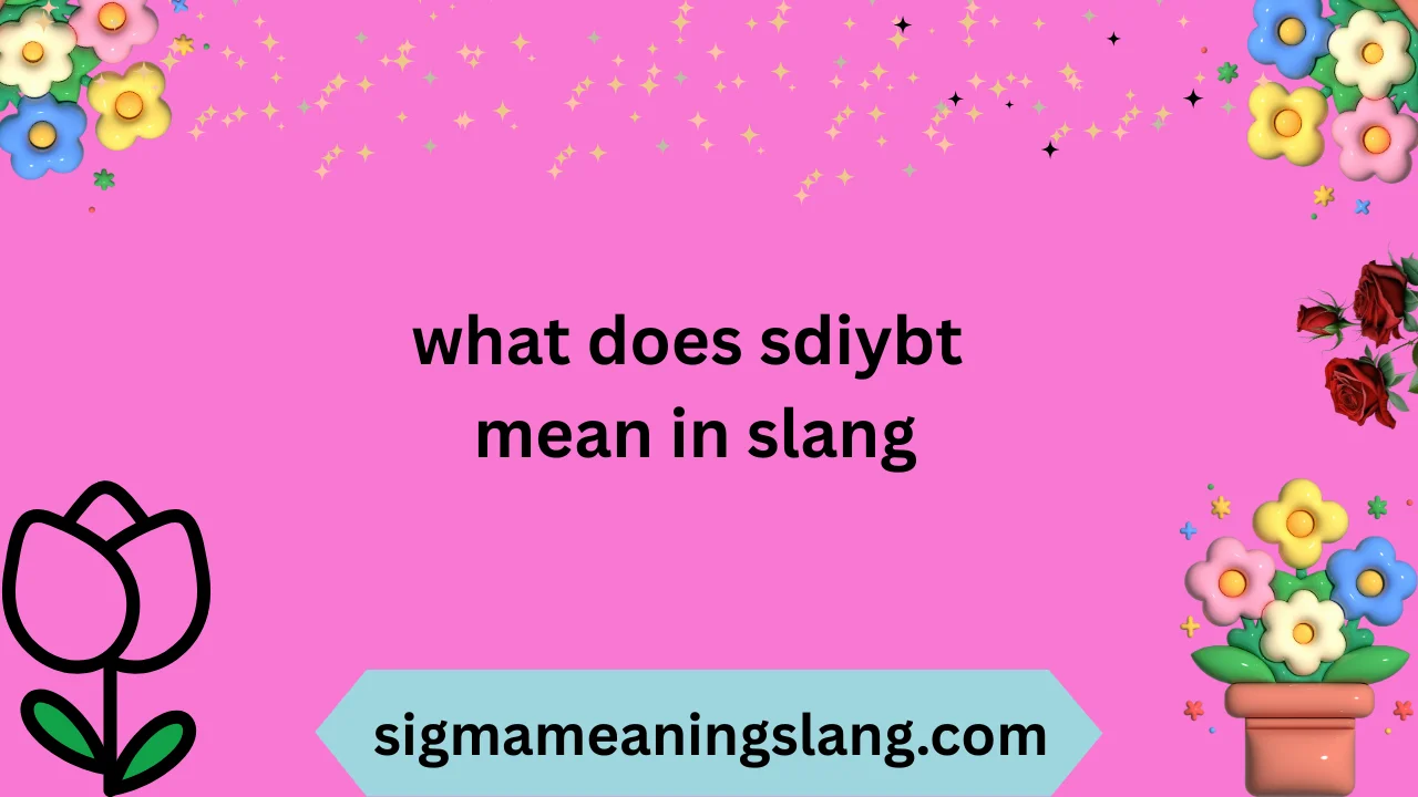 what does sdiybt mean in slang