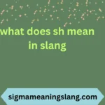 what does sh mean in slang