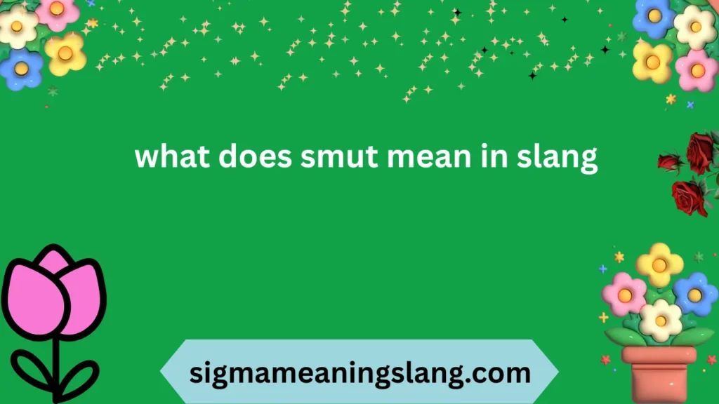 what does smut mean in slang