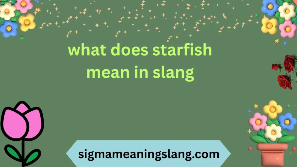 what does starfish mean in slang