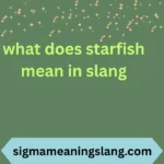 what does starfish mean in slang