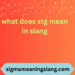 what does stg mean in slang