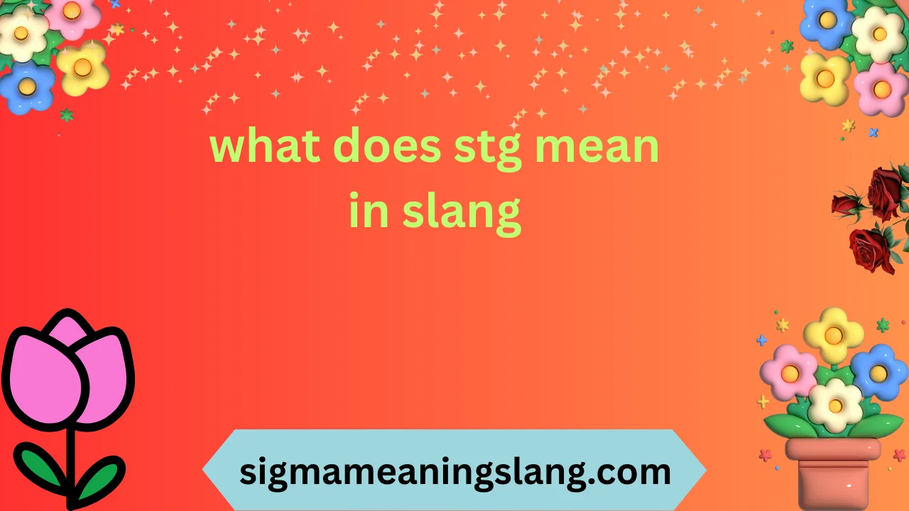 what does stg mean in slang