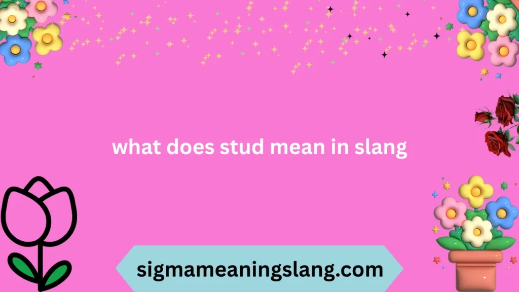 what does stud mean in slang
