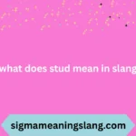 what does stud mean in slang