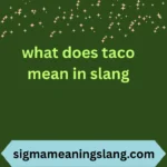 what does taco mean in slang