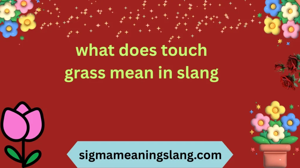 what does touch grass mean in slang