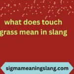what does touch grass mean in slang