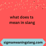what does ts mean in slang