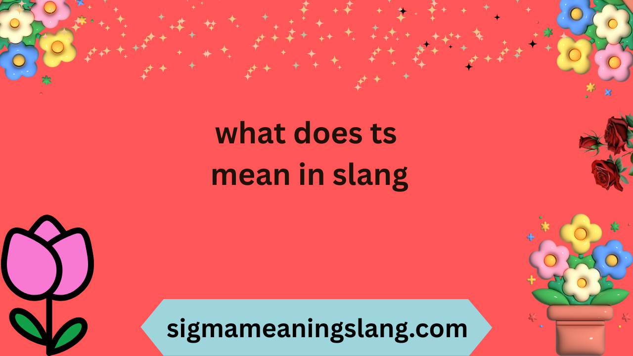 what does ts mean in slang