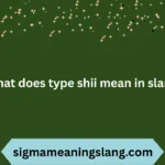 what does type shii mean in slang