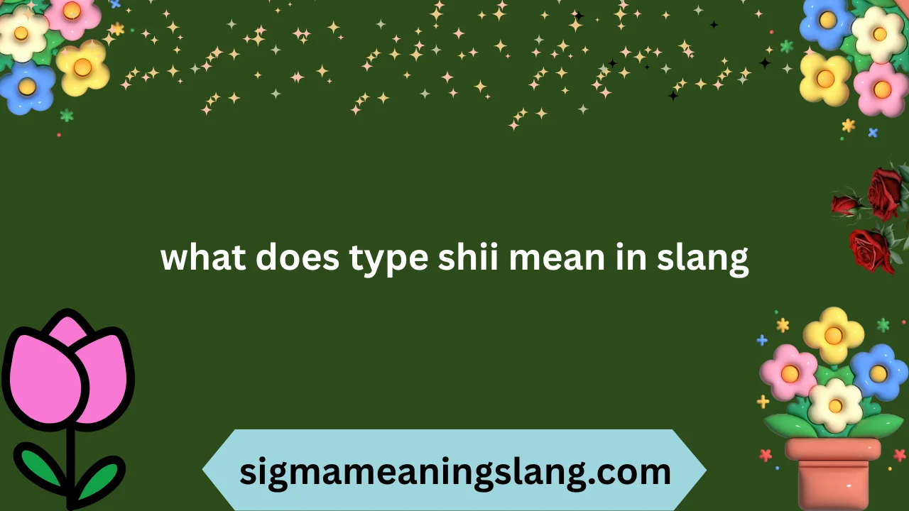 what does type shii mean in slang