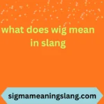 what does wig mean in slang