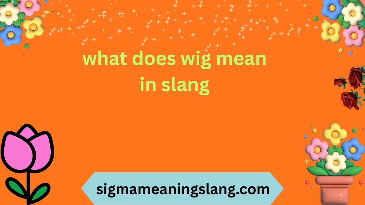 what does wig mean in slang