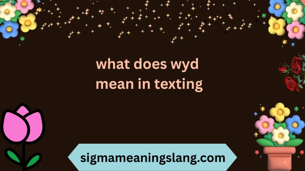 what does wyd mean in texting