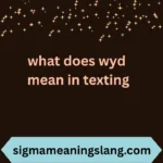 what does wyd mean in texting