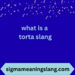 what is a torta slang