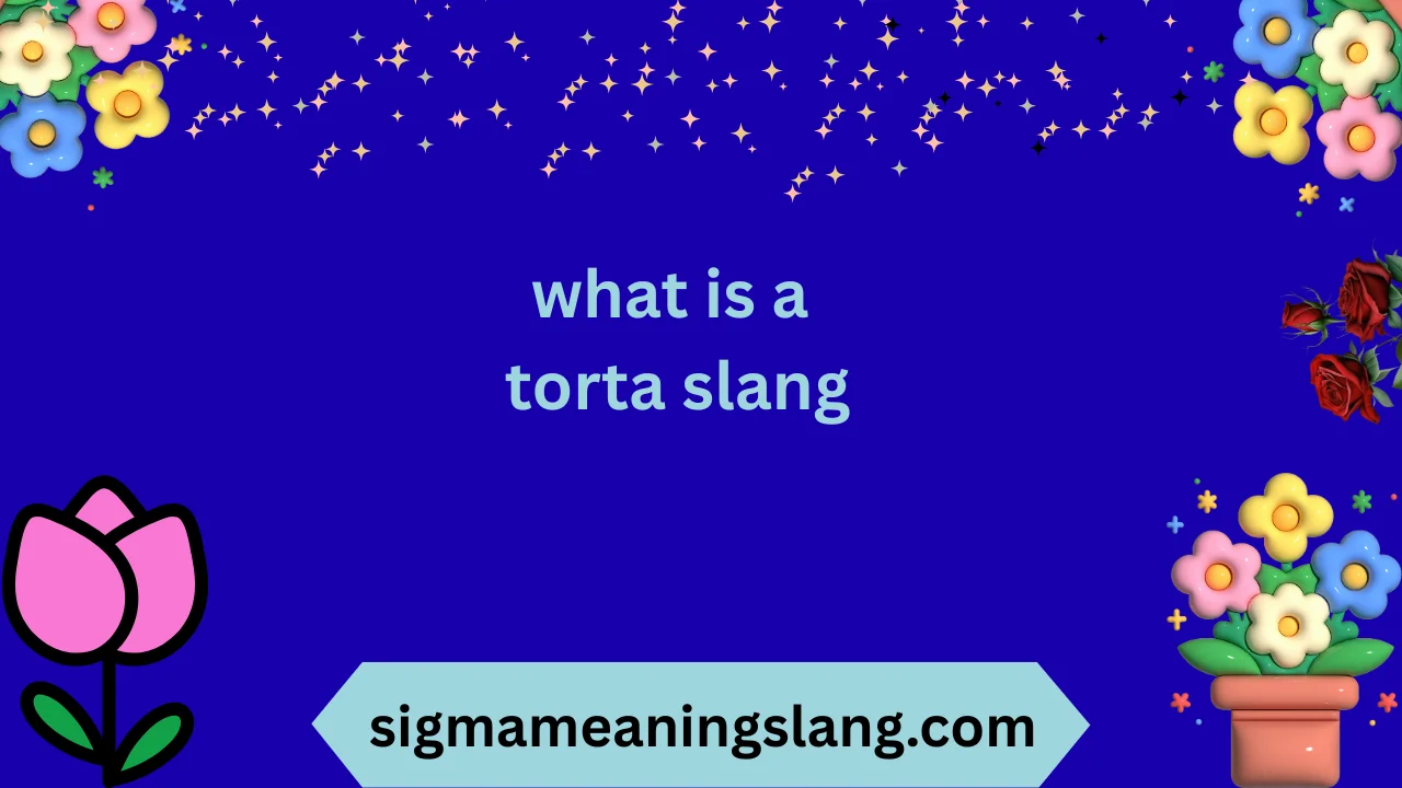 what is a torta slang