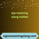 atp meaning slang twitter